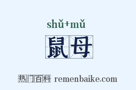 鼠母是什么意思的图片